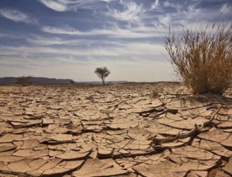 Los ciclos de la tierra