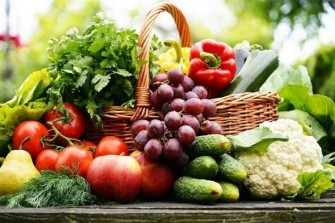 Comida no alimenticia