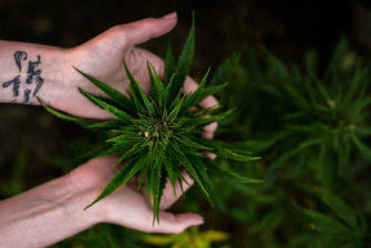 Hay que seguir abriendo puertas