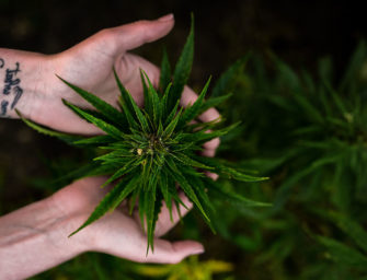 Hay que seguir abriendo puertas