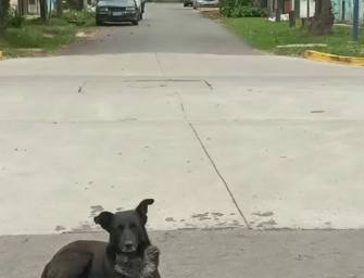 Trabajar hasta desaparecer