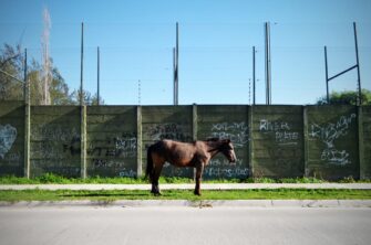 La vida del obrero es así