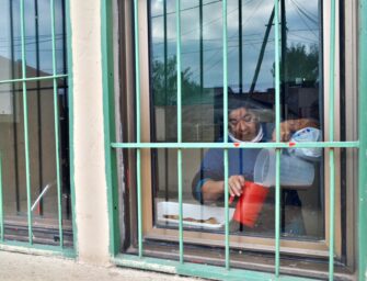  El murmullo del potrero