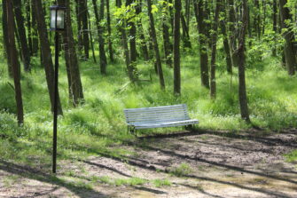 Sombras desde el 203