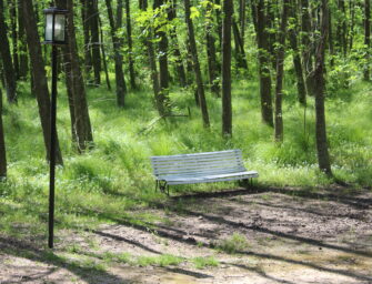 Sombras desde el 203