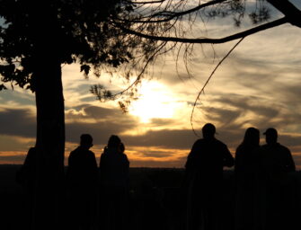 Comunidad frente al Terror